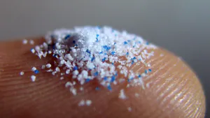 Mikroplastik pod przybliżeniem